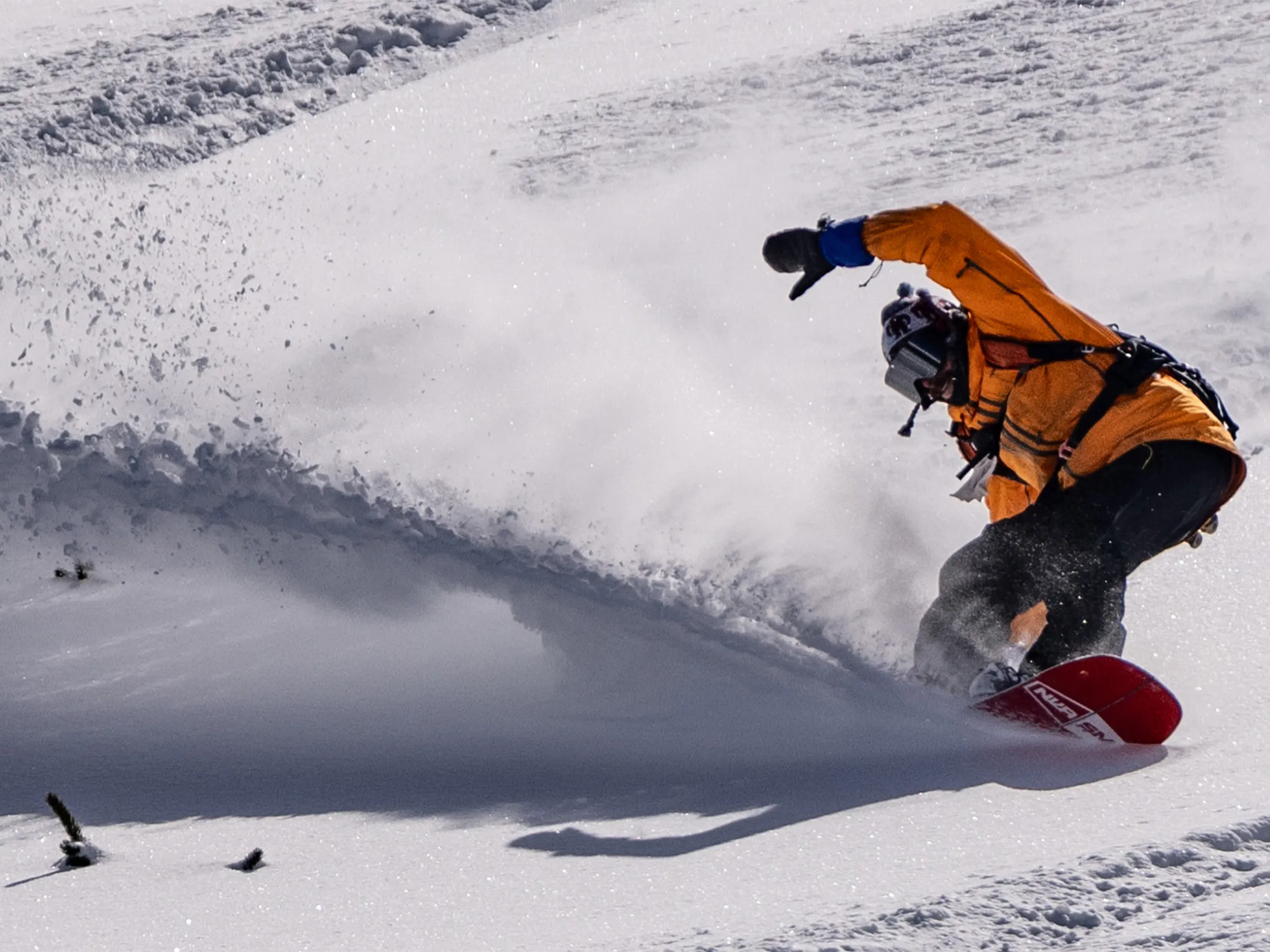 snowboard spraying snow