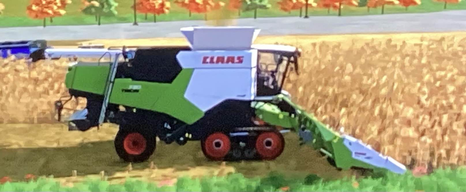 corn
