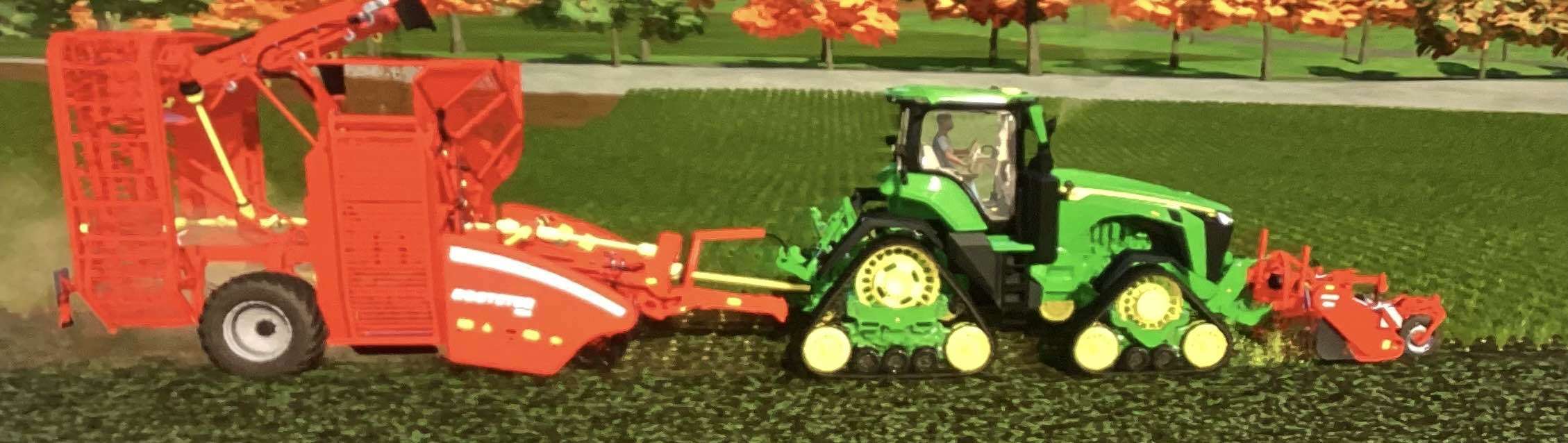 sugarbeet1